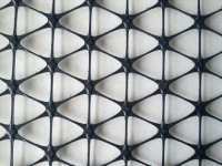 2324979_1599527247.jpg 2324979_1599527247.jpg